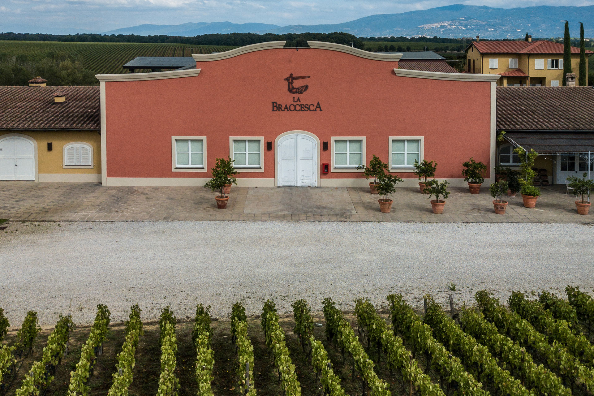 Santa Pia Nobile di Montepulciano Docg Riserva - Image 2