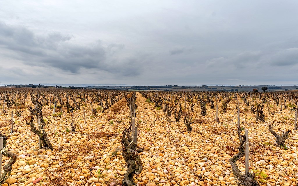 Lavau Châteauneuf du Pape - Image 3