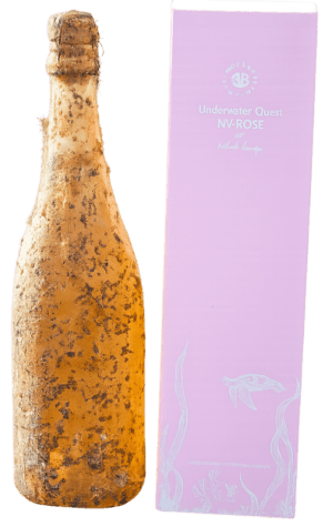 Benjamin Bridge Quest NV Rosé 750ml